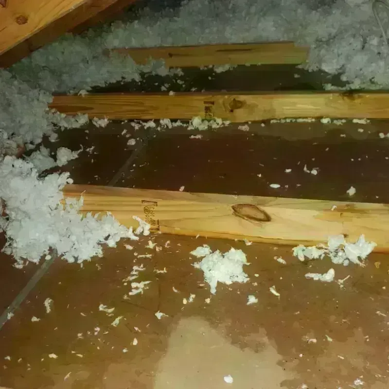 Attic Water Damage in Montague, TX