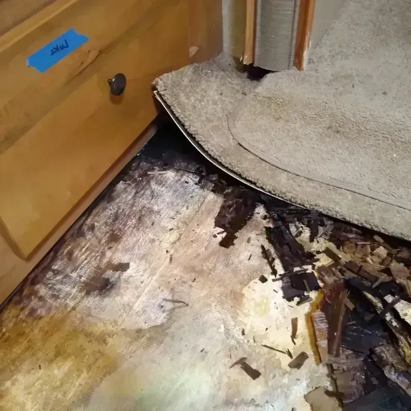 Wood Floor Water Damage in Montague, TX